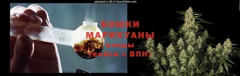 Бошки марихуана THC 21%  даркнет клад  Рославль 